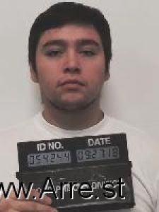 Dillon White Owl Arrest Mugshot